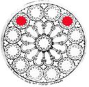 Rose-ouest2-.jpg